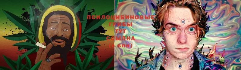 Псилоцибиновые грибы Psilocybe  blacksprut рабочий сайт  Барыш 